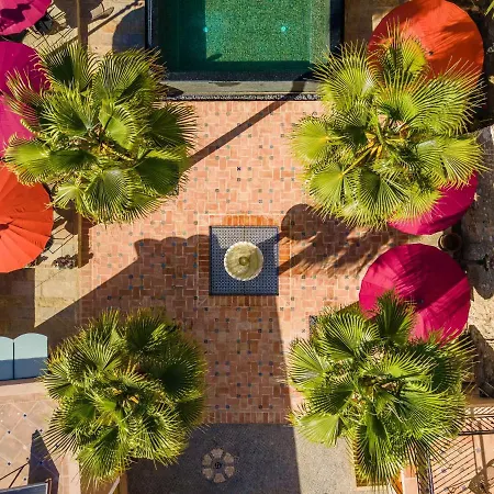 Origens Boutique - Adults Only